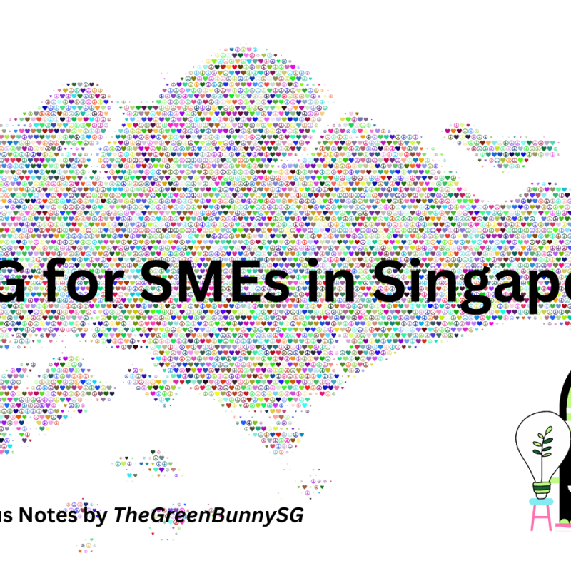 ESG for SMEs in&nbsp;Singapore