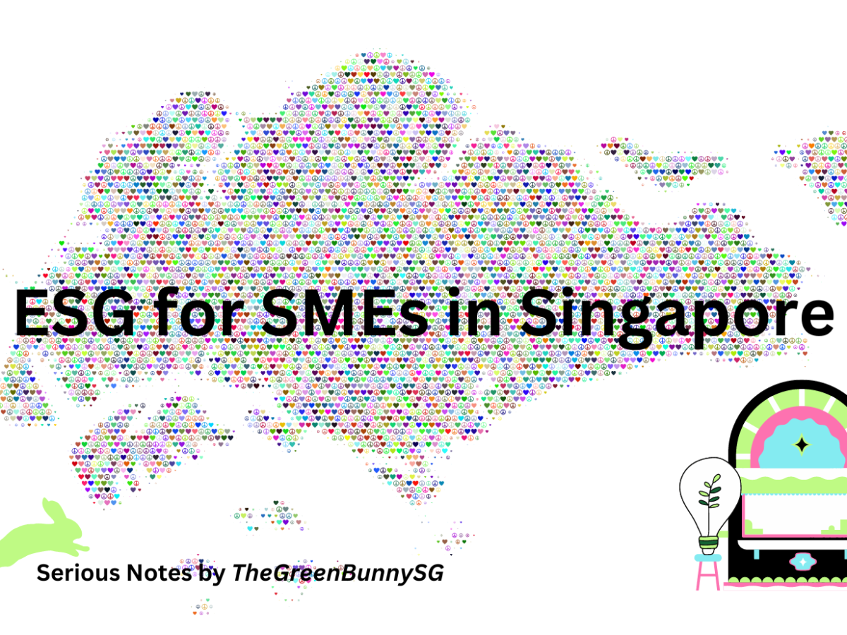 ESG for SMEs in&nbsp;Singapore